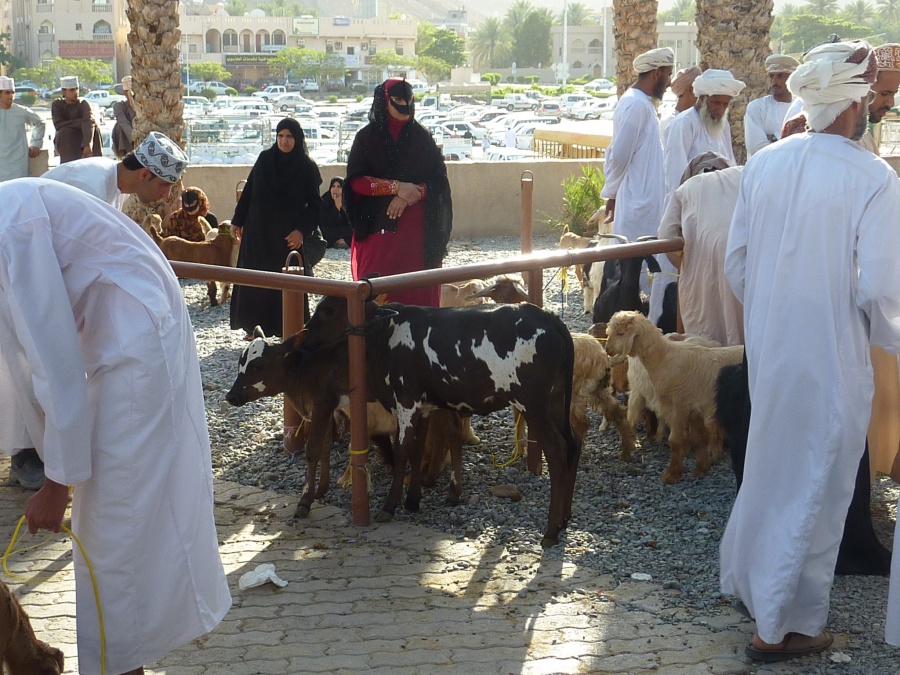 Frauen beim Handeln auf dem Tiermarkt in Nizwa