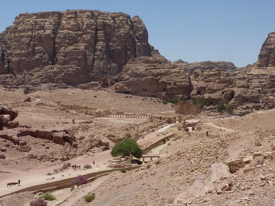 Blick ueber den Carlo Maximus, die roemische Straße in Petra