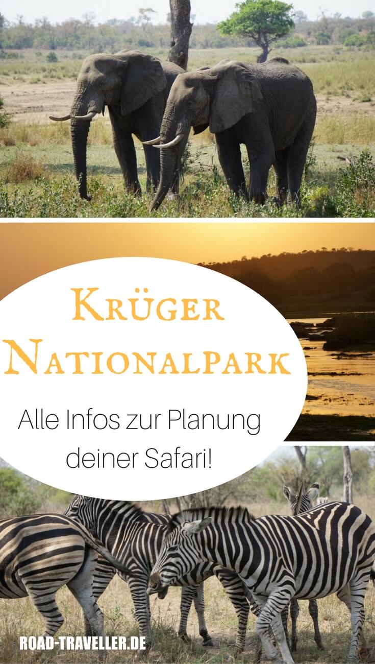 Dein Safari-Guide fuer den Kruger Nationalpark in Suedafrika. Alles was du zur Planung deiner Safari auf eigene Faust wissen musst. Mit aktuellen Eintrittspreisen 2018-2019!
