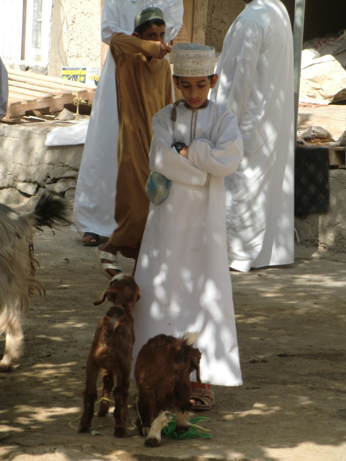 Junge mit seinen Ziegen beim Tiermarkt in Bahla