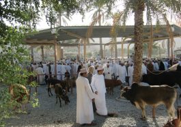 Tiermarkt in Nizza Oman
