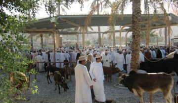 Tiermarkt in Nizza Oman