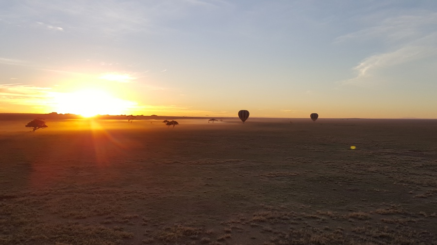 Sonnenaufgang in der Serengeti in Tansania