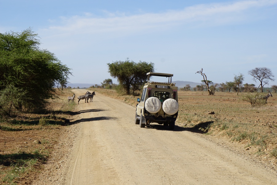 Safarifahrzeug in der Serengeti in Tansania