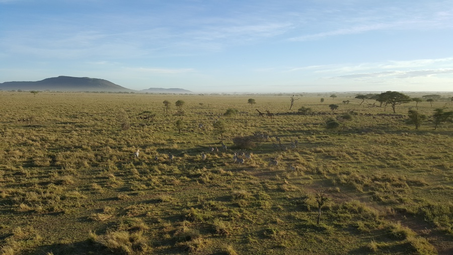 Die Serengeti in Tansania von oben