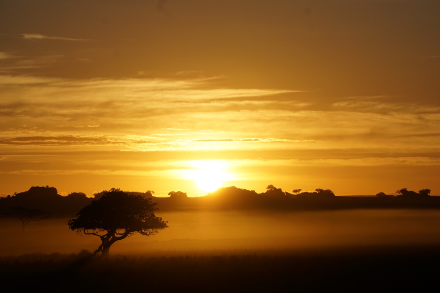 Unglaublicher Sonnenaufgang in der Serengeti in Tansania
