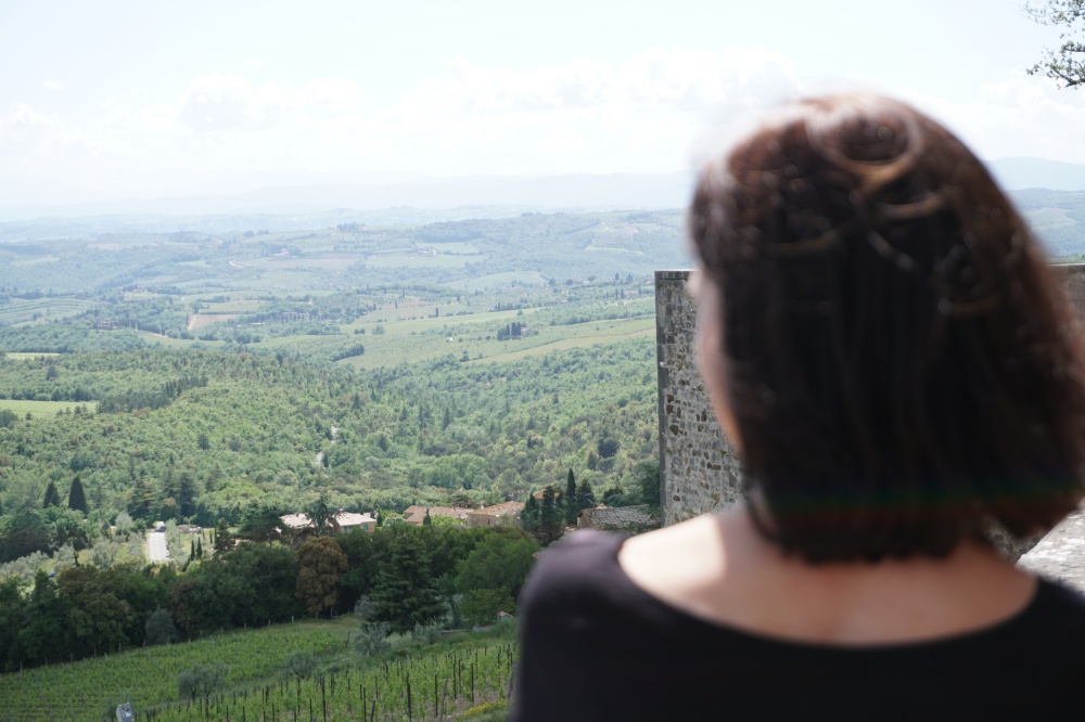 Ausblick vom Castello di Brolio auf die Weinberge und Landschaft der Toskana