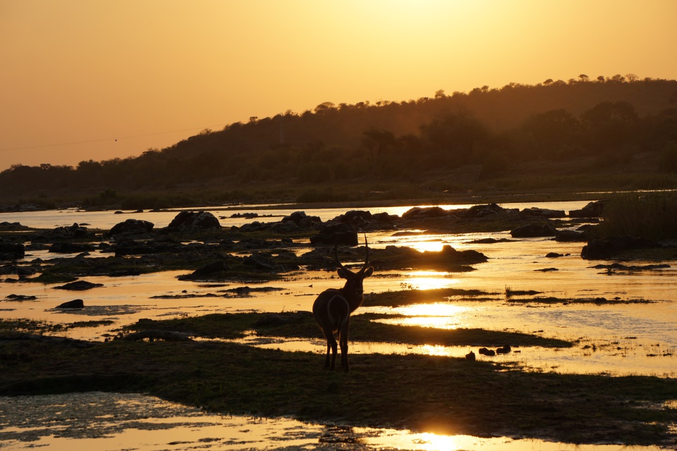 Sonnenuntergang im Kruger Nationalpark