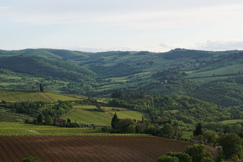 Landschaft des Val d Orcia suedlich von Siena 