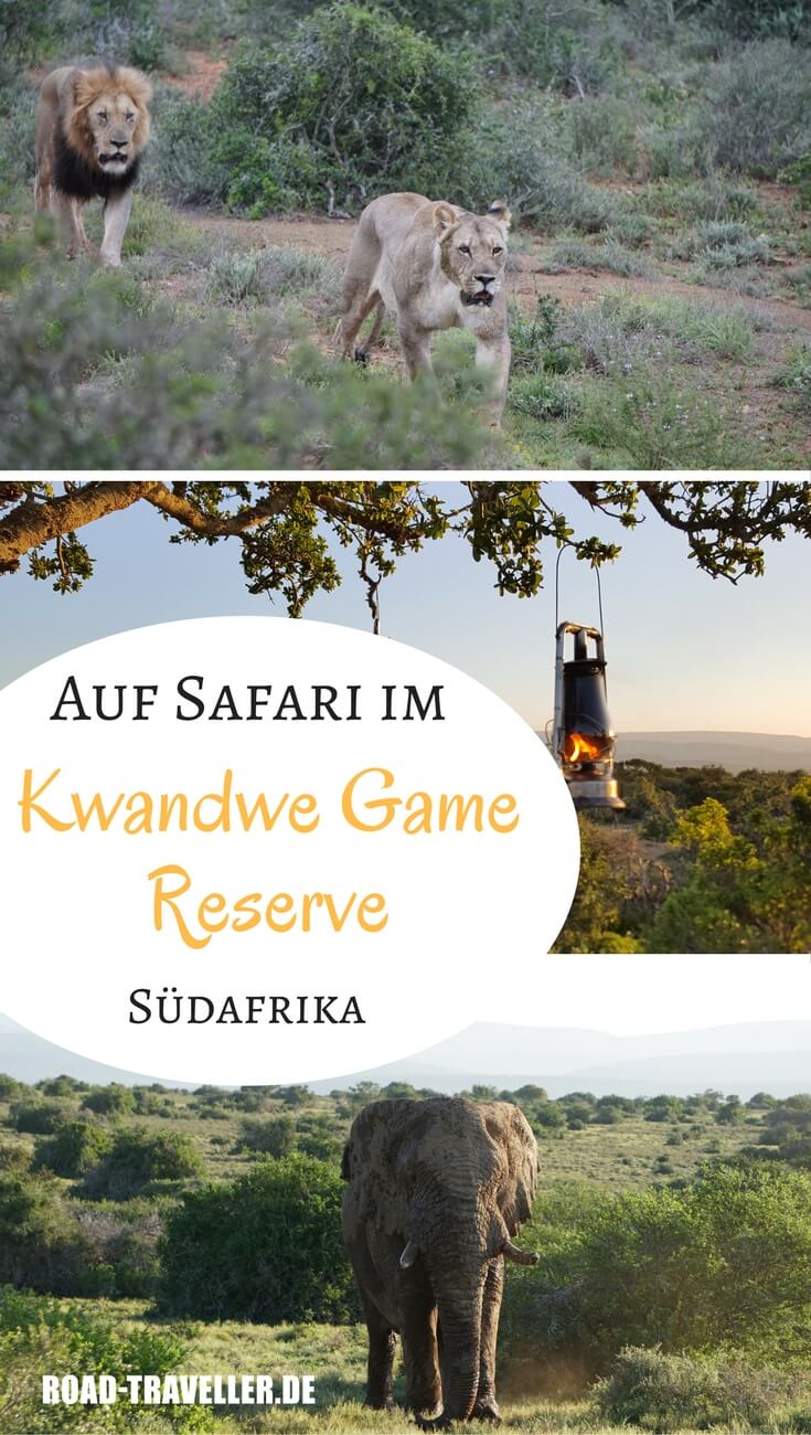 Auf Safari im Kwandwe Private Game Reserve in Südafrikas Eastern Cape - lohnt es sich?