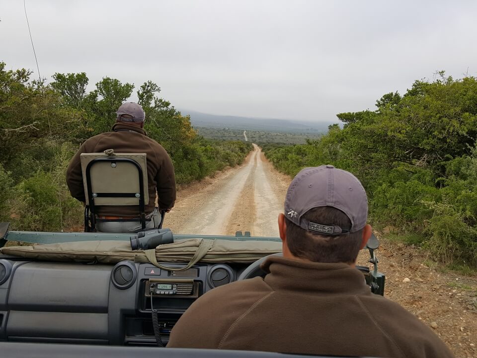 Auf Safari im Kwandwe Private Game Reserve in Suedafrika