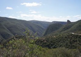 Der Baviaanskloof in Suedafrika. Unsere Offroad Tour - Reiseblog Road Traveller