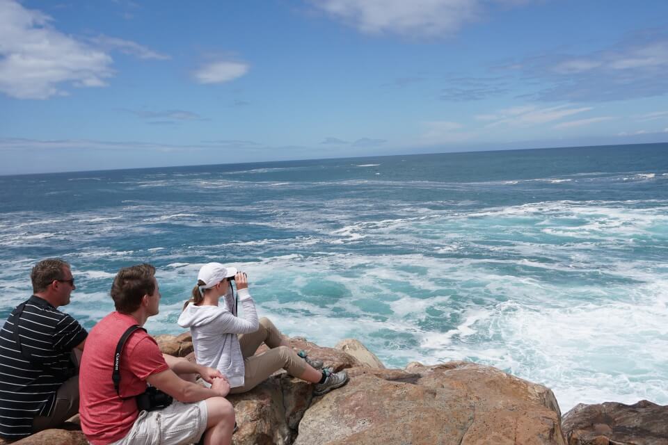 Am oestlichsten Punkt der Robberg Halbinsel sahen wir Robben, Delfine und Wale