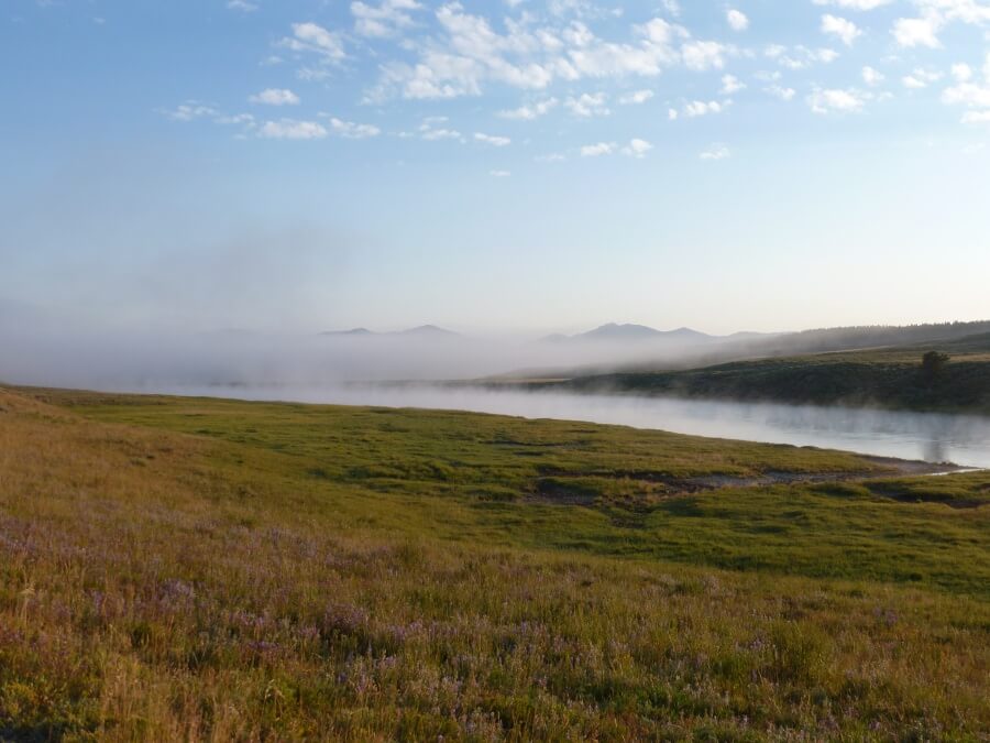 Morgennebel im Yellowstone Nationalpark
