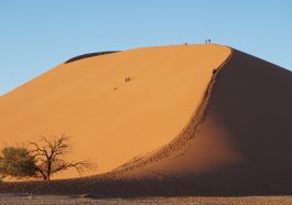 Die Duene 45 im Namib-Naukluft-Park Sossusvlei Namibia