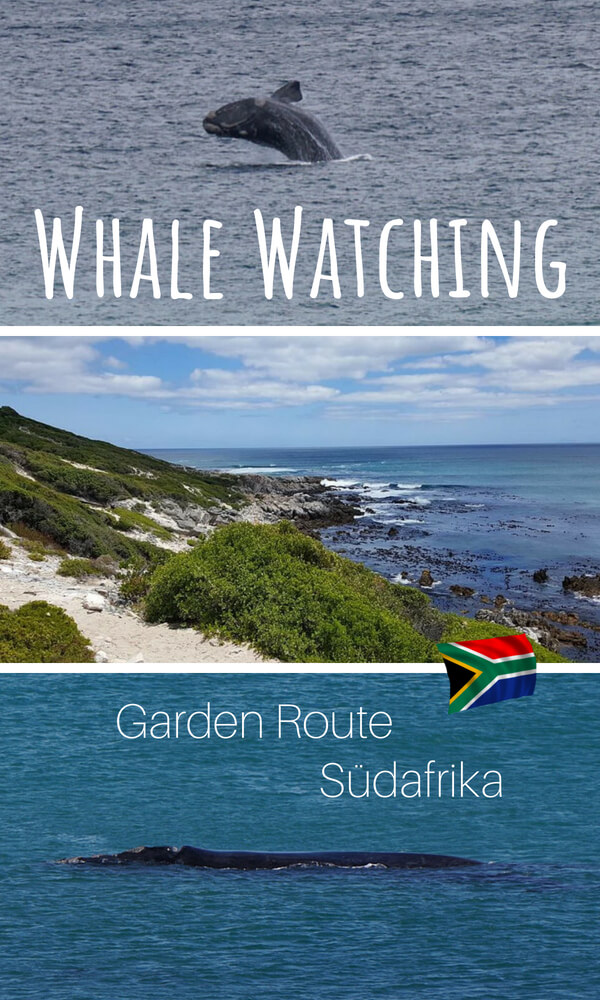 Wale beobachten an der Garden Route in Suedafrika - unsere Tipps