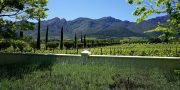 Franschhoek Wine Tram - ein perfekter Tag in Suedafrikas Weinland
