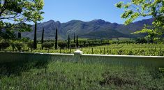 Franschhoek Wine Tram - ein perfekter Tag in Suedafrikas Weinland