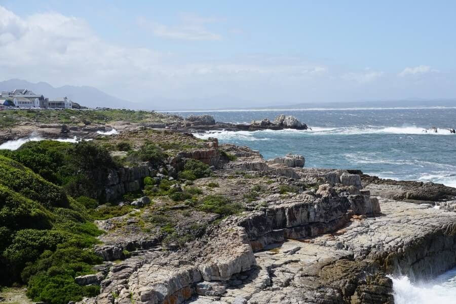 Vom Cliff Path in Hermanus an der Garden Route in Suedafrika lassen sich Wale beobachten 