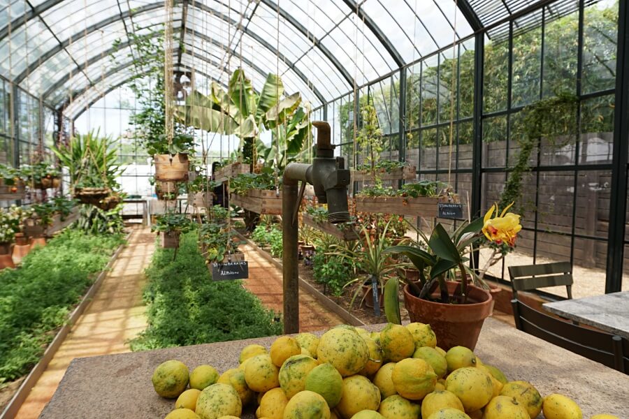 Greenhouse Restaurant und Gewaechshaus auf Babylonstoren in Suedafrika