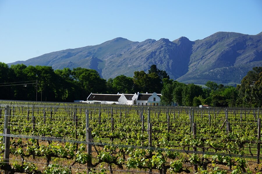 Ausblick vom Weingut Holden Manz in Franschhoek