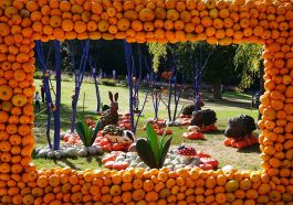 Kuerbisausstellung im Bluehenden Barock in Ludwigsburg