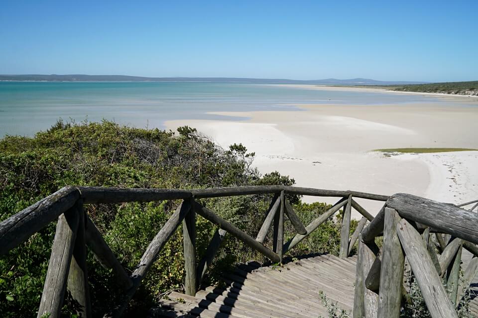 Wildblumen und KaribikFeeling im West Coast Nationalpark • Road Traveller