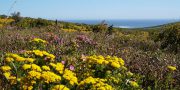 Unser Roadtrip an der Westkueste Suedafrika mit Route, Highlights und Tipps vom Reiseblog Road Traveller