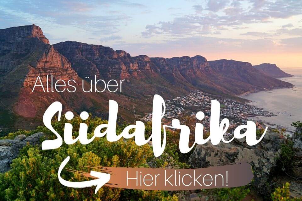 Suedafrika Reiseblog mit Reiseberichten und Tipps