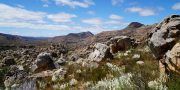 Wandern in den Cederbergen in Suedafrika