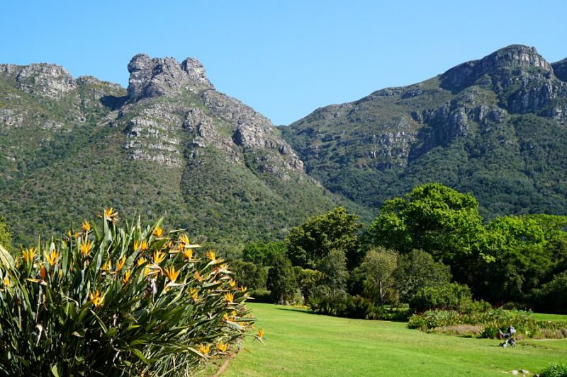Kirstenbosch Botanical Garden in Kapstadt Suedafrika