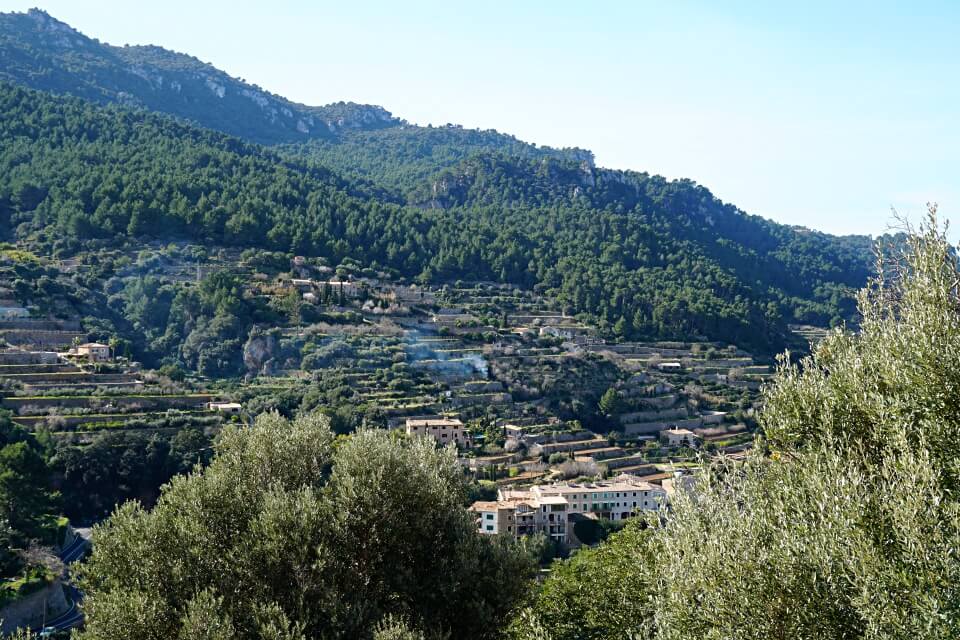 Terrassengaerten in Banyalbufar auf Mallorca