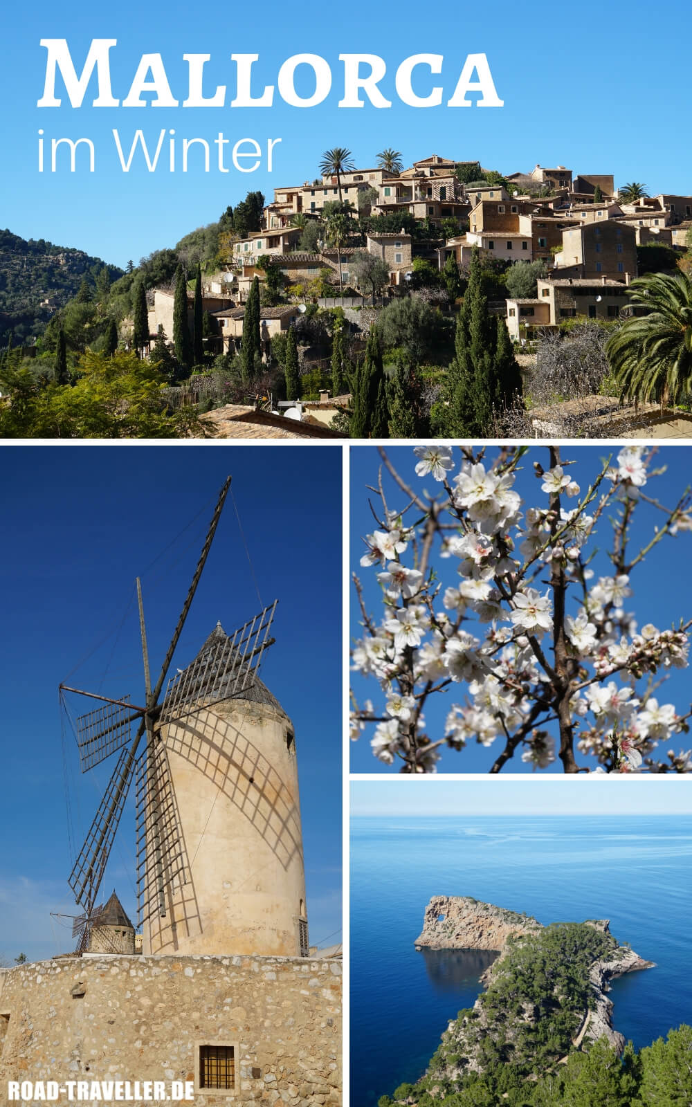 Mallorca im Winter zur Mandelbluete erleben - unsere Tipps und Highlights