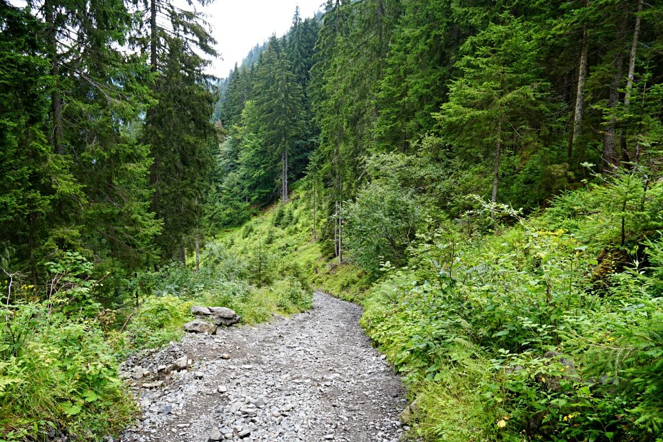 Steinig steiler Wanderweg durch den Wald auf den Monte Lussari in Italien