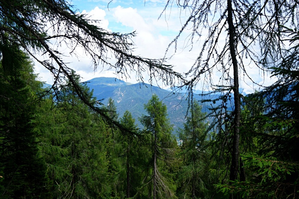 Erste Ausblicke vom Monte Lussari als sich der Wald lichtet