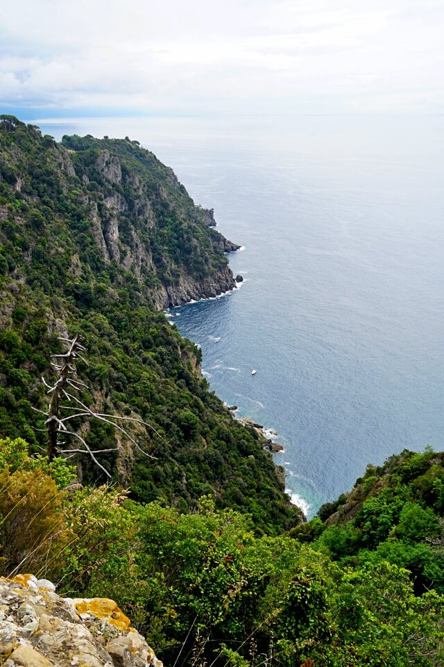 Steilkueste im Naturschutzgebiet Portofino Halbinsel