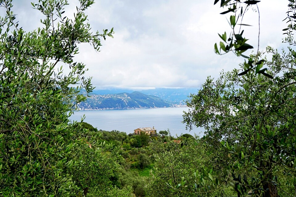 Ausblicke vom Wanderweg bei Portofino