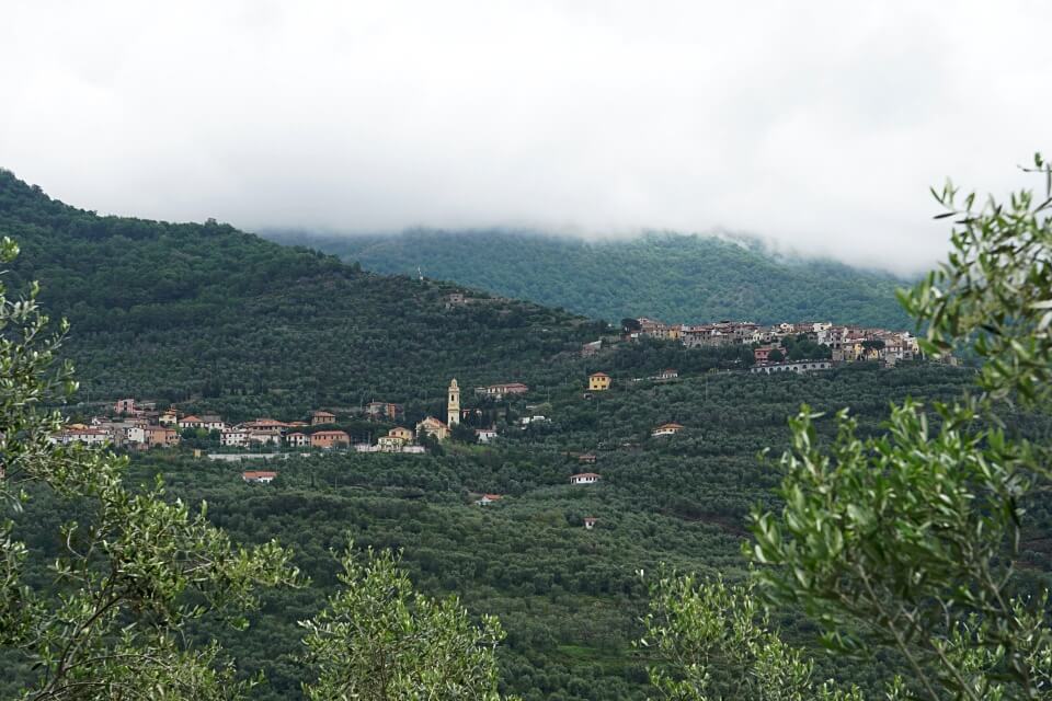 Blick auf Lucinasco und seine Olivenhaine im Hinterland von Ligurien