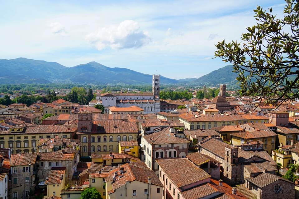 Ausblick auf Lucca in der Toskana vom Torre Guinigi