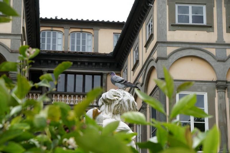 Garten des Palazzo Pfanner in Lucca
