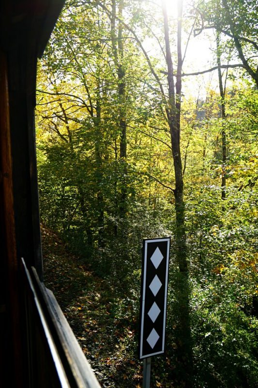Blick aus der Schwaebischen Waldbahn
