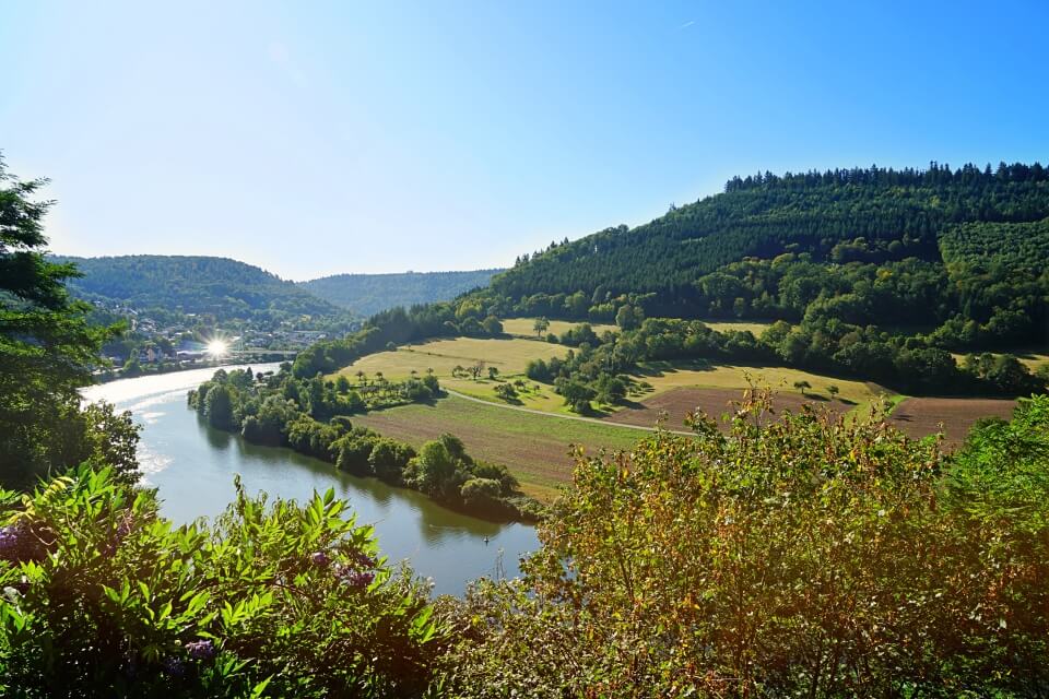 Ausblick auf Neckar und Bergfeste Dilsberg
