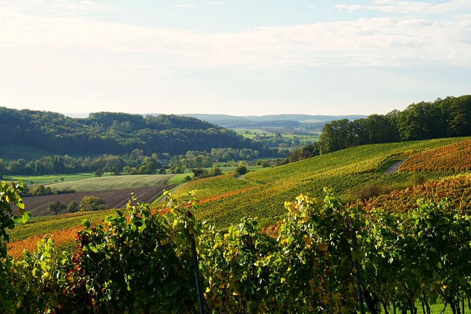 Weinlandschaft in Hohenlohe bei Bretzfeld