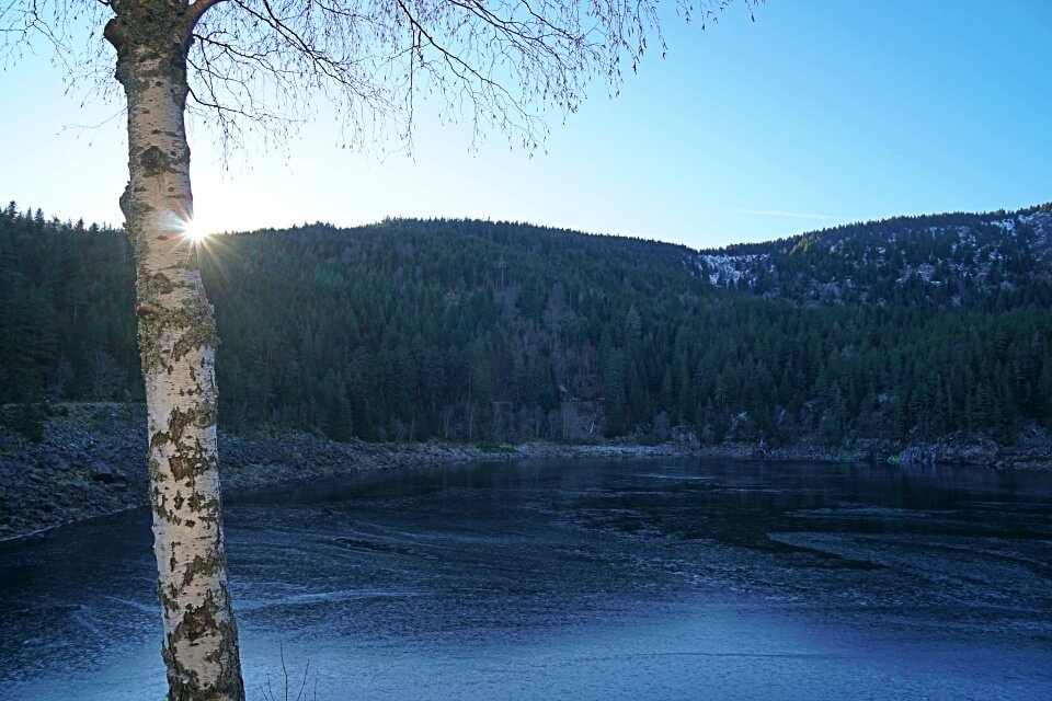 Der Lac Noir in den Vogesen im Winter