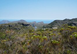 Ausblicke beim Wandern auf den Tafelberg