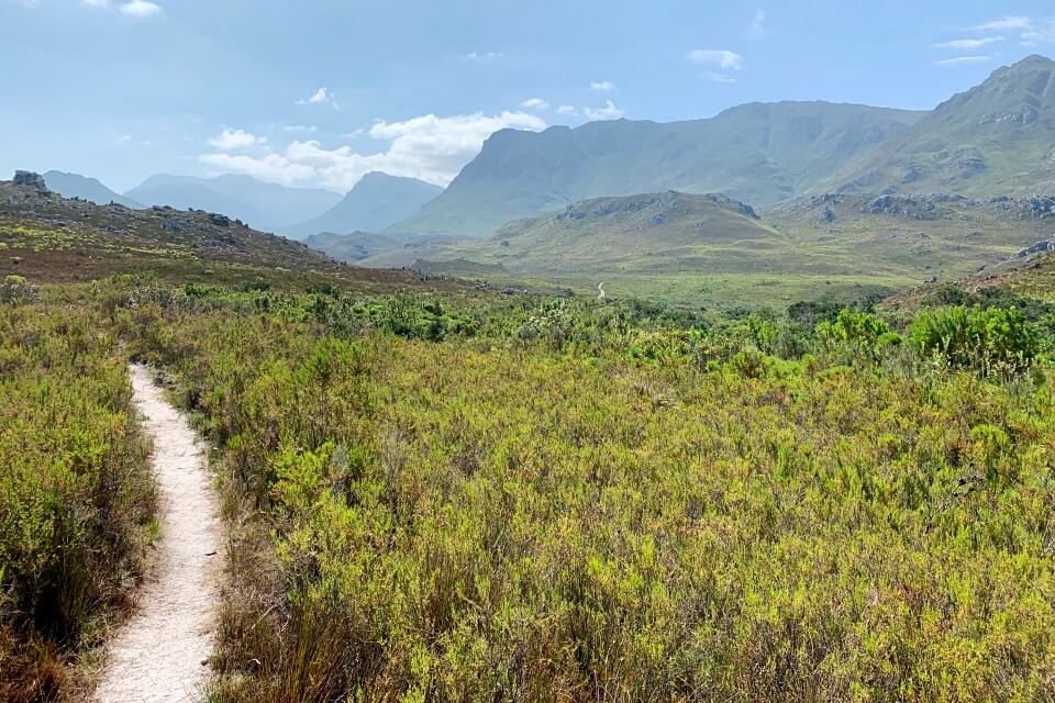 Weite Fynbos Landschaft im Kogelberg Nature Reserve