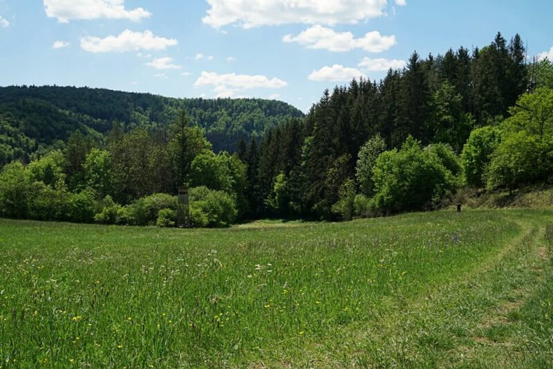 Wiesen beim Wandern im Donautal auf der Schwaebischen Alb