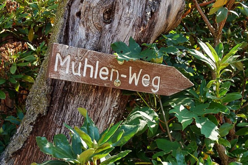 Wandern auf dem Muehlenweg Ottenhoefen im Schwarzwald