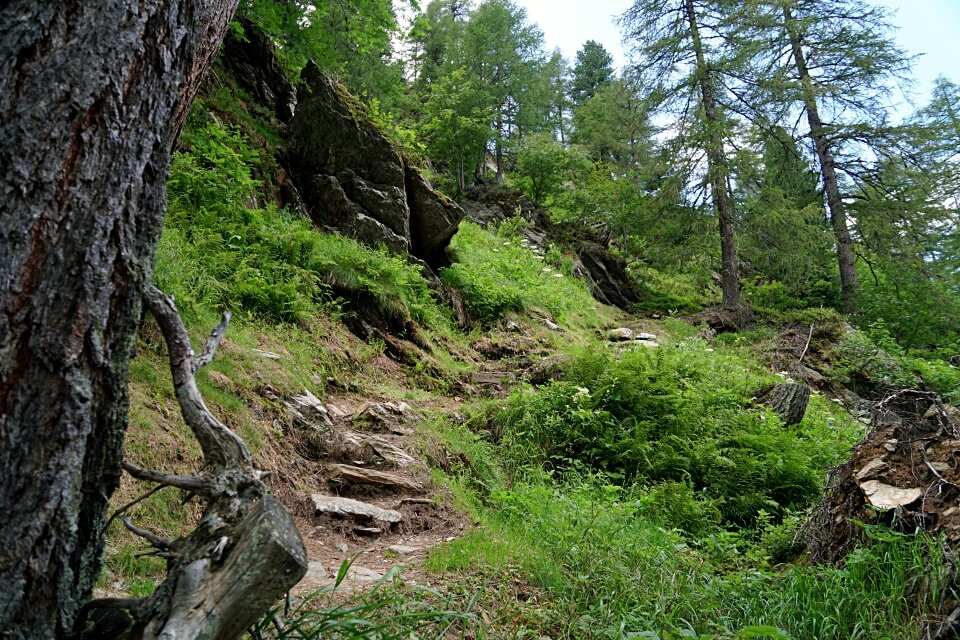 Abstieg auf dem Jaegersteig bei unserer Wanderung zum Seebergsee im Wanser Tal