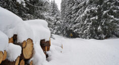 Winterurlaub im Gsieser Tal in Suedtirol mit vielen Wanderungen